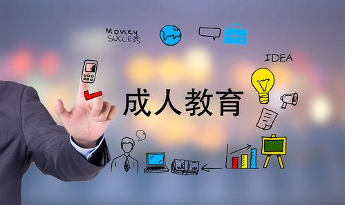 成人高考名词讲解大全视频  第3张