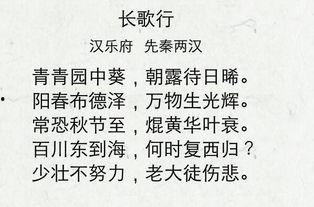 男成人古诗读书视频,探寻男成人的诗意人生  第1张
